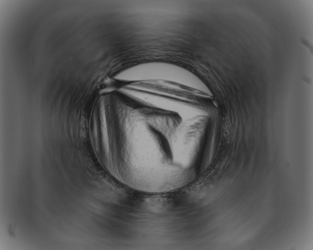 X0000091230470200709061523