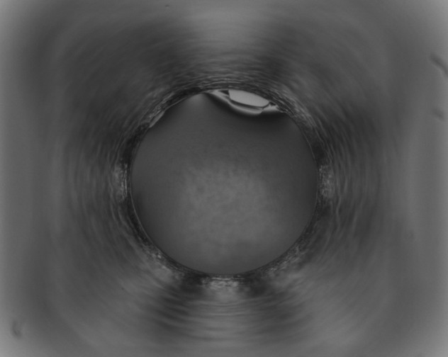 X0000091230471200709061523