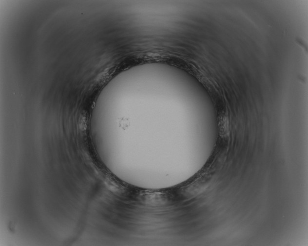 X0000091230472200709061523