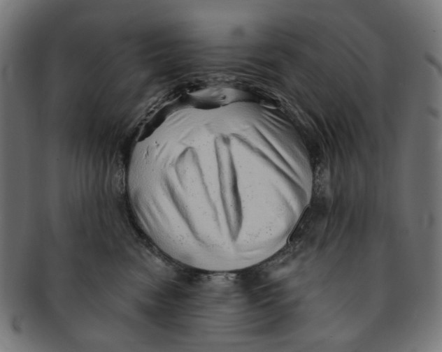 X0000091230474200709061523