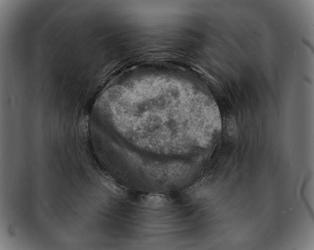 X0000091230475200709061523