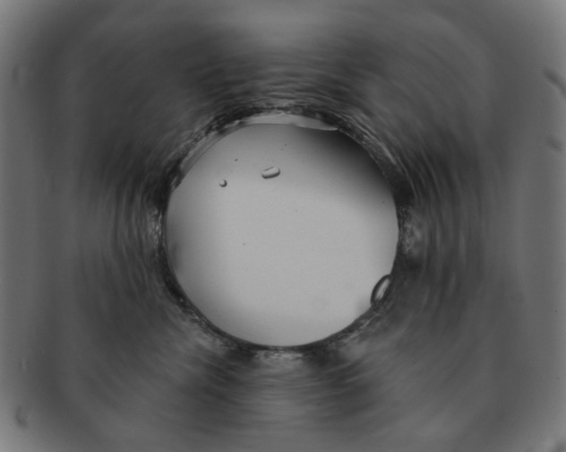 X0000091230476200709061523