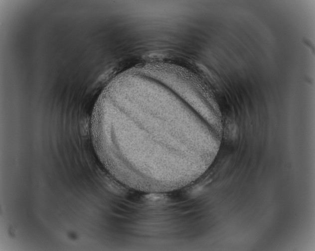 X0000091230477200709061523