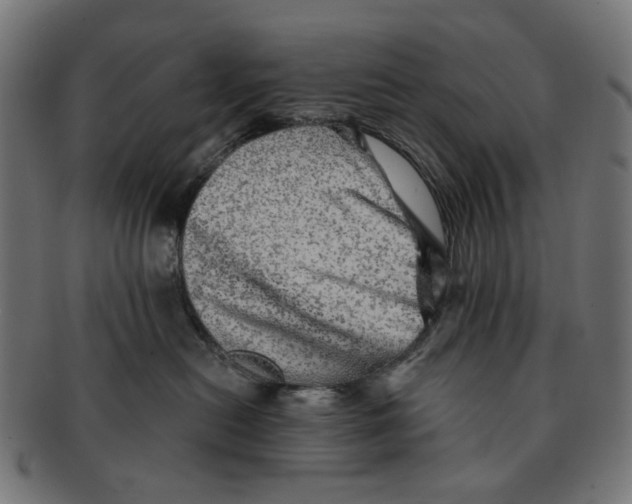X0000091230478200709061523