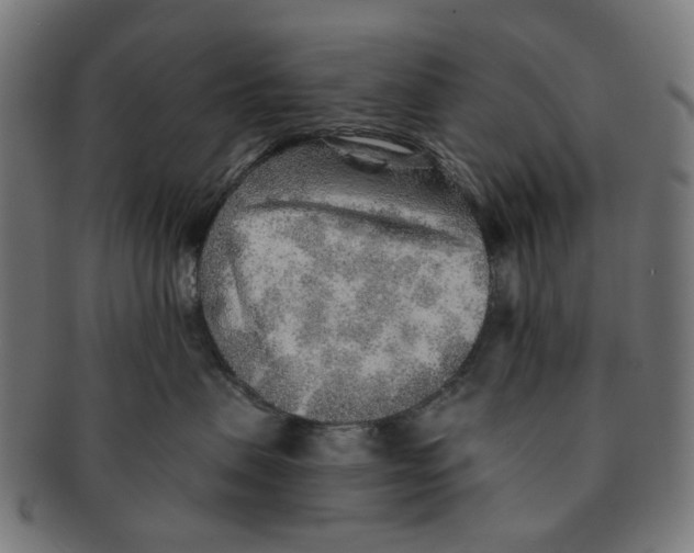 X0000091230479200709061523
