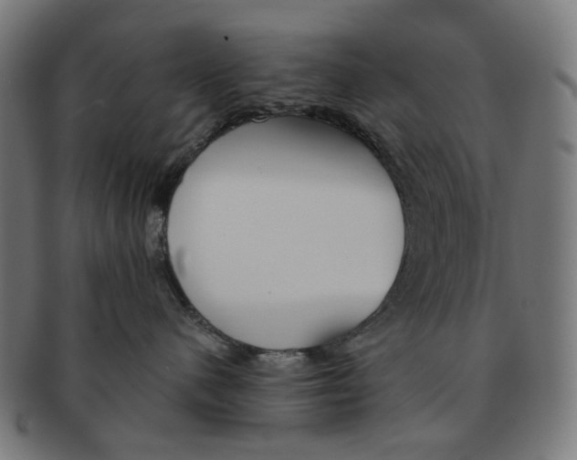 X0000091230480200709061523