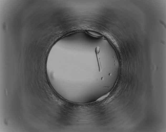 X0000091230481200709061522