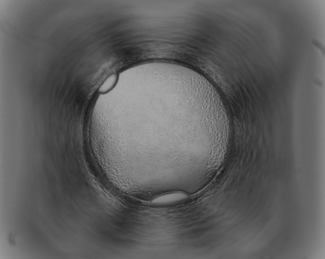X0000091230482200709061522