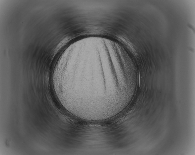 X0000091230483200709061522