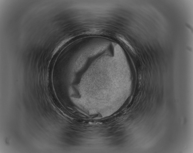 X0000091230484200709061522