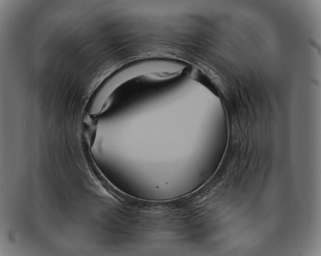 X0000091230485200709061522