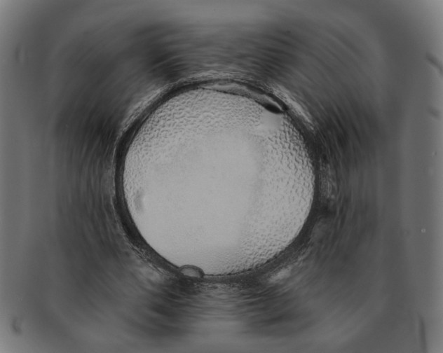 X0000091230486200709061522