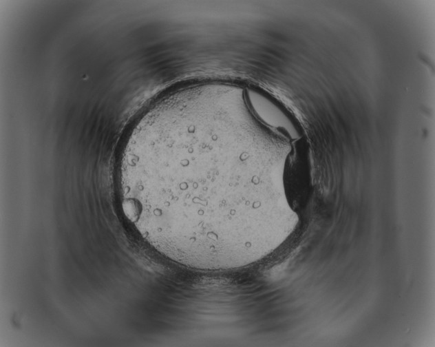 X0000091230487200709061522