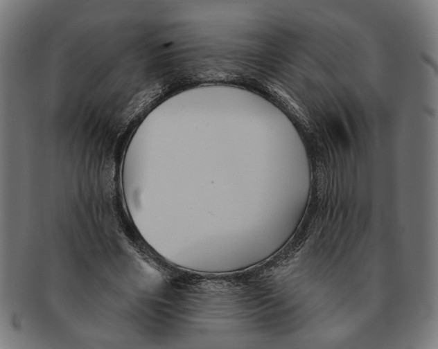 X0000091230490200709061522