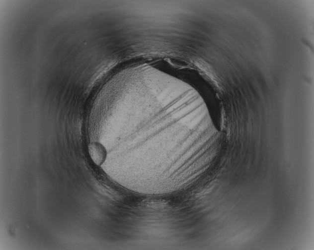 X0000091230491200709061522