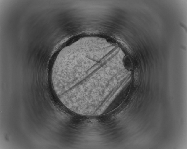 X0000091230492200709061522