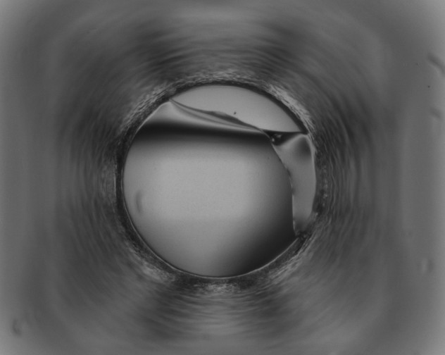 X0000091230493200709061522
