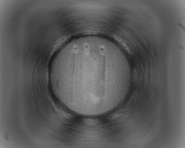 X0000091230494200709061522