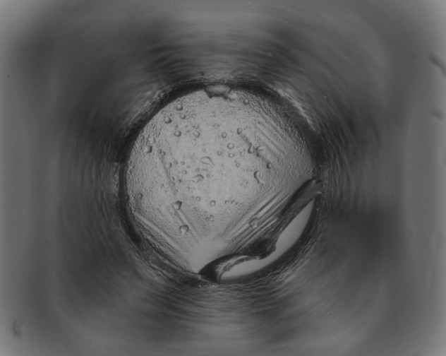 X0000091230495200709061522