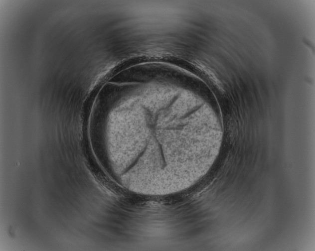 X0000091230496200709061522