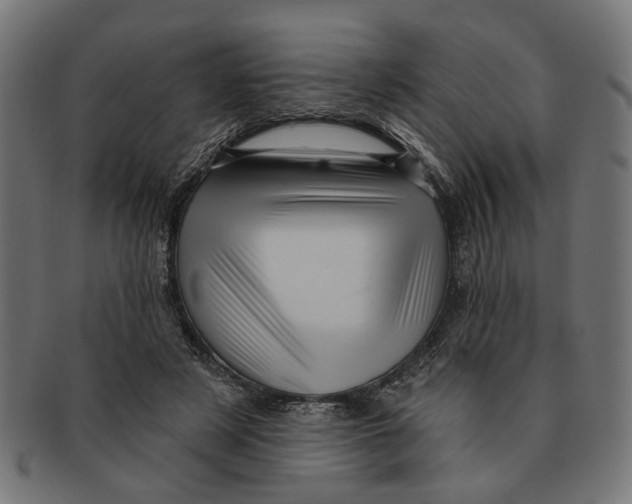X0000091230497200709061522