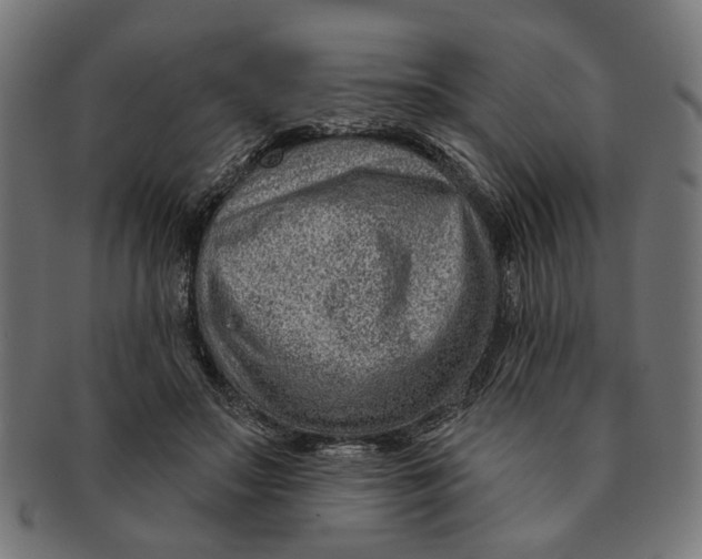 X0000091230499200709061522