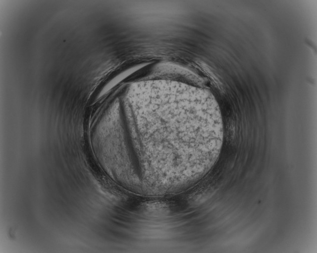X0000091230500200709061522