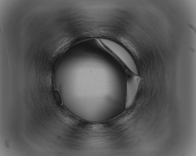 X0000091230501200709061522