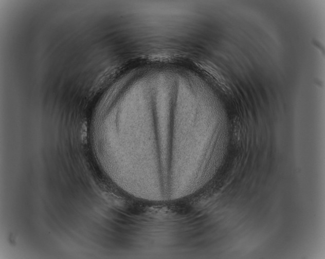 X0000091230502200709061522
