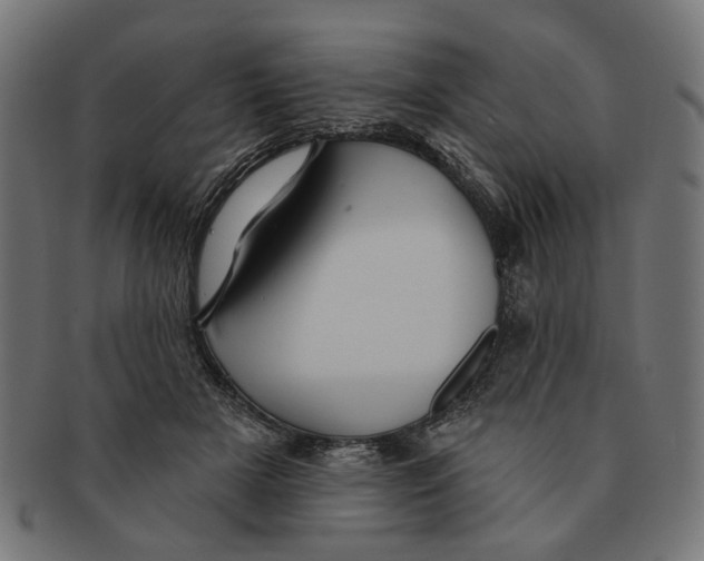 X0000091230505200709061522