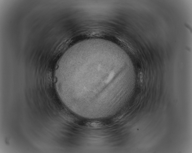 X0000091230506200709061522