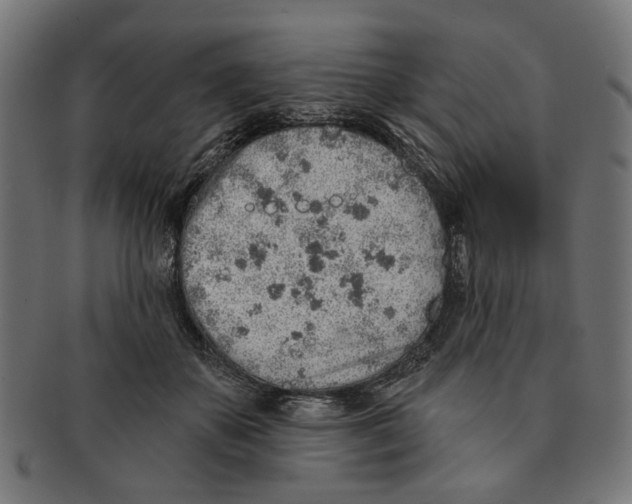 X0000091230507200709061522