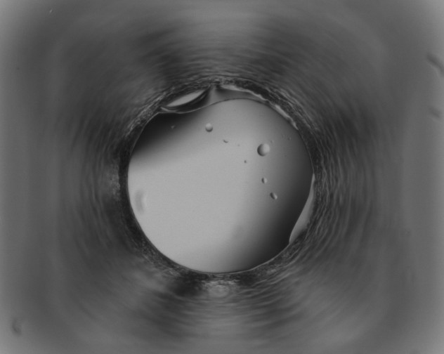 X0000091230508200709061522