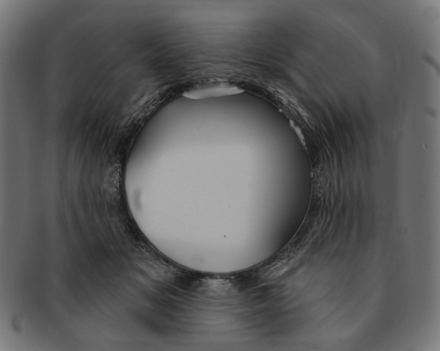 X0000091230509200709061522