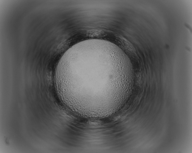 X0000091230510200709061522
