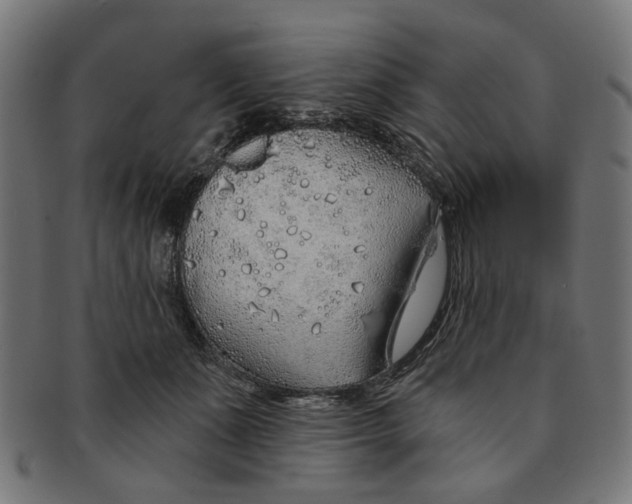X0000091230511200709061522
