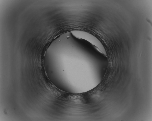 X0000091230512200709061522