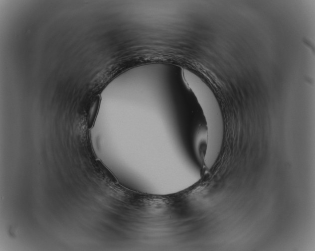 X0000091230513200709061522