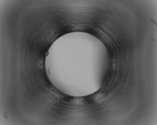 X0000091230514200709061522