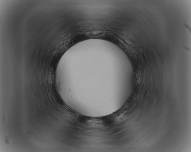 X0000091230515200709061522