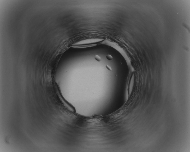 X0000091230516200709061522
