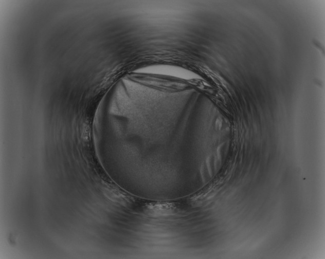 X0000091230517200709061522