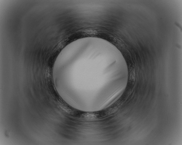 X0000091230518200709061522
