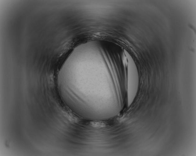 X0000091230520200709061522