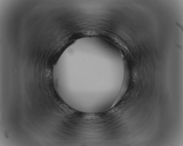 X0000091230521200709061522