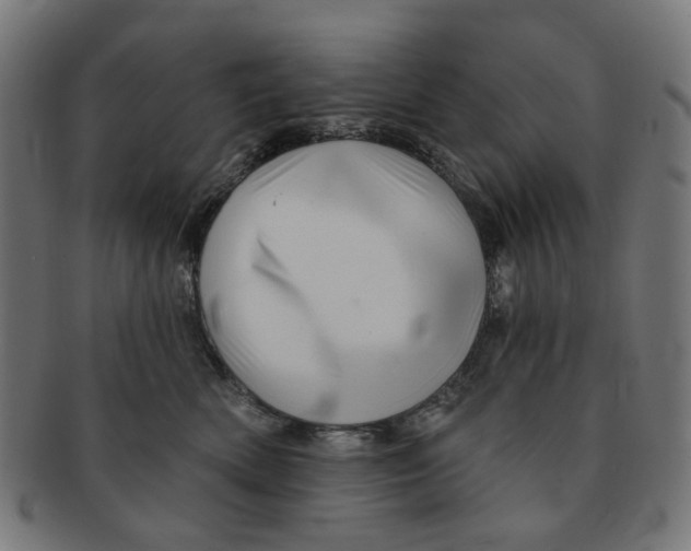 X0000091230522200709061522