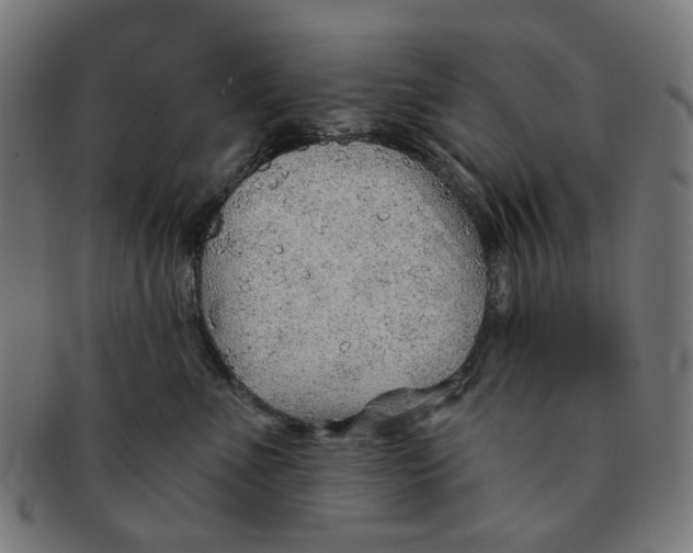 X0000091230523200709061522
