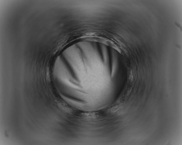X0000091230524200709061522