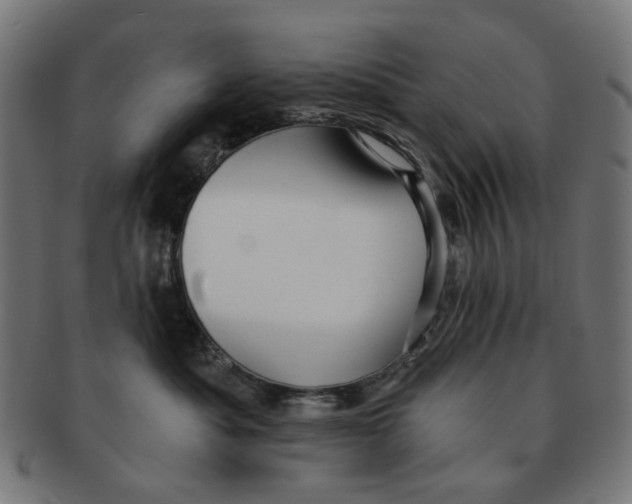 X0000091230525200709061522