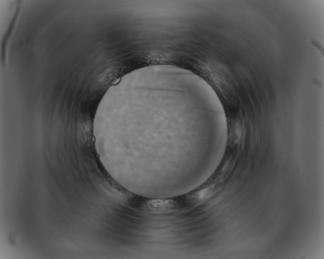 X0000091230526200709061522